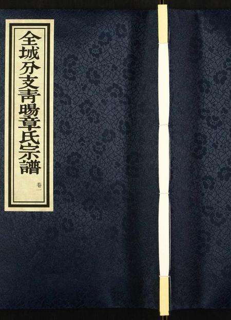 江苏章氏族谱-青暘章氏宗谱.pdf电子版缩略图