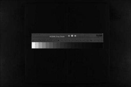 浙江何氏族谱-庐江郡何氏宗谱 [不分卷].pdf电子版缩略图