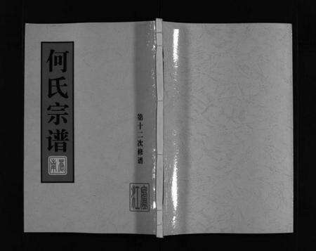 浙江何氏族谱-庐江郡何氏宗谱 [不分卷].pdf电子版预览图1