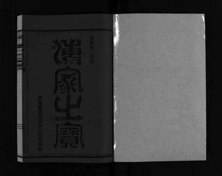 浙江何氏族谱-庐江郡何氏宗谱 [不分卷].pdf电子版预览图2