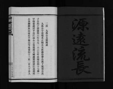 浙江何氏族谱-庐江郡何氏宗谱 [不分卷].pdf电子版预览图3