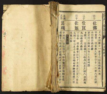 中国张氏族谱-张氏十修族谱.pdf电子版缩略图