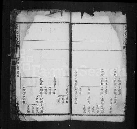 中国张氏族谱-张氏宗谱.pdf电子版预览图2