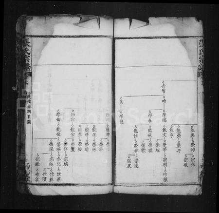 中国张氏族谱-张氏宗谱.pdf电子版预览图3