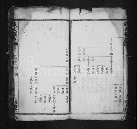 中国张氏族谱-张氏宗谱.pdf电子版预览图4