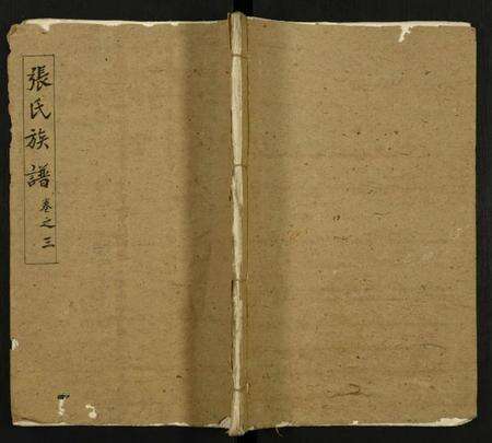 中国张氏族谱-张氏宗谱.pdf电子版缩略图