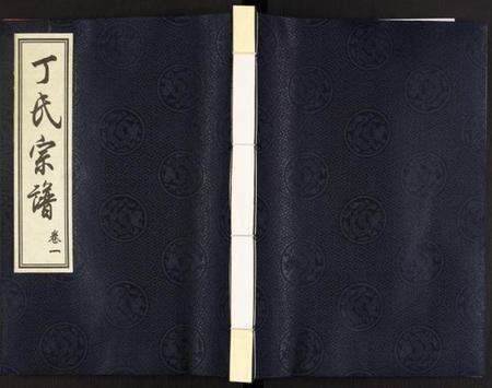 江苏丁氏族谱-丁氏宗谱.pdf电子版缩略图