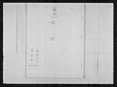 中国张氏族谱-张氏祖谱.pdf电子版缩略图