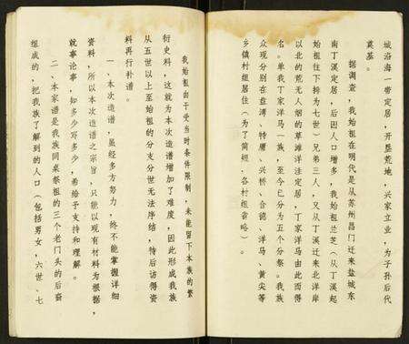 江苏丁氏族谱-丁氏家谱.pdf电子版预览图3