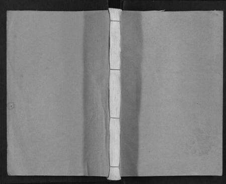 浙江杨氏族谱-弘农杨氏宗谱.pdf电子版缩略图