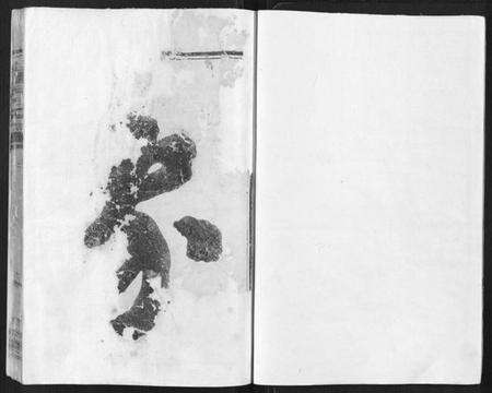 浙江杨氏族谱-弘农杨氏宗谱.pdf电子版预览图1