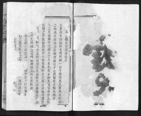 浙江杨氏族谱-弘农杨氏宗谱.pdf电子版预览图2