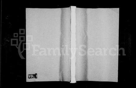 浙江杨氏族谱-弘农杨氏宗谱 [1卷].pdf电子版预览图1