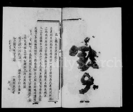 浙江杨氏族谱-弘农杨氏宗谱 [1卷].pdf电子版预览图3