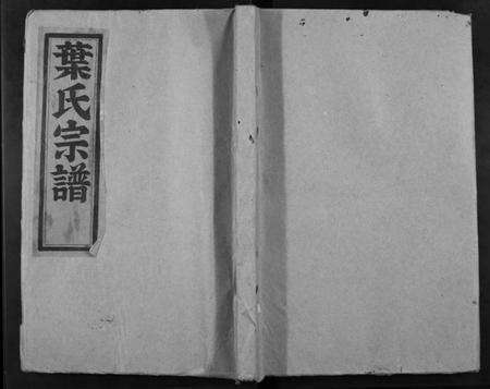 浙江叶氏族谱-张山叶氏宗谱.pdf电子版缩略图