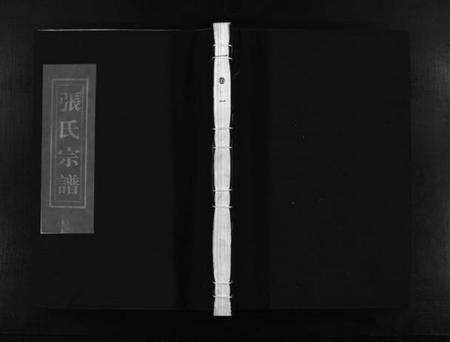 浙江多姓氏族谱-张氏宗谱 [10卷].pdf电子版预览图1