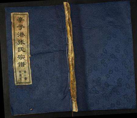 江苏张氏族谱-亭子港张氏宗谱.pdf电子版缩略图