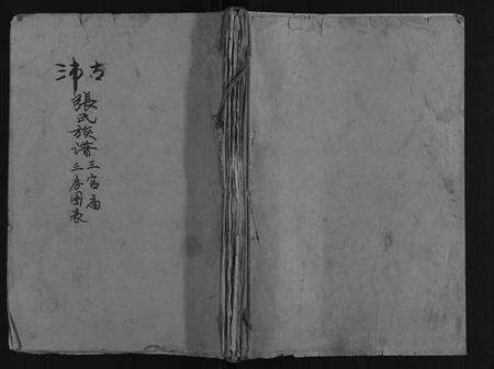 江苏张氏族谱-古沛张氏族谱.pdf电子版缩略图