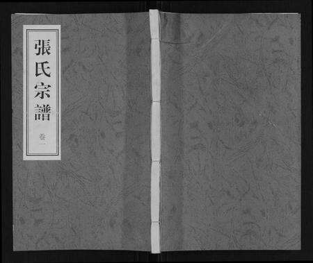 江苏张氏族谱-张氏世谱.pdf电子版缩略图
