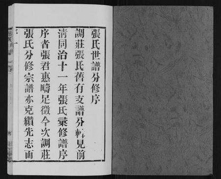 江苏张氏族谱-张氏世谱.pdf电子版预览图1