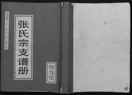 江苏张氏族谱-张氏宗支谱册.pdf电子版缩略图