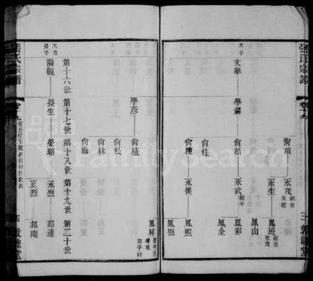 江苏张氏族谱-张氏宗谱.pdf电子版预览图4