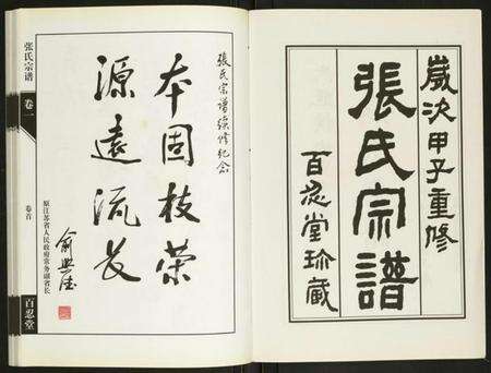 江苏张氏族谱-张氏宗谱.pdf电子版预览图2