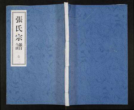 江苏张氏族谱-张氏宗谱.pdf电子版缩略图