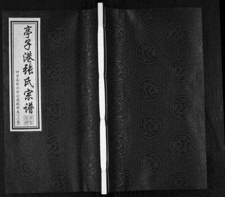 江苏张氏族谱-张氏宗谱.pdf电子版缩略图