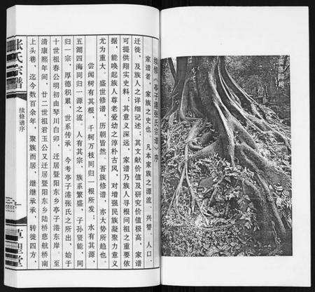 江苏张氏族谱-张氏宗谱.pdf电子版预览图2