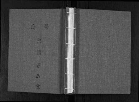 江苏张氏族谱-张氏宗谱.pdf电子版缩略图