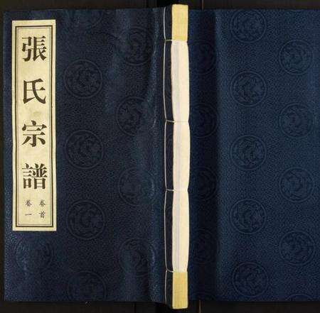江苏张氏族谱-张氏宗谱.pdf电子版缩略图