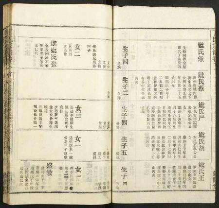 湖北丁氏族谱-丁氏宗谱.pdf电子版预览图2