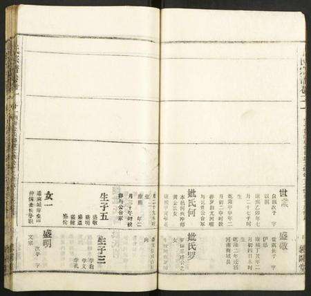 湖北丁氏族谱-丁氏宗谱.pdf电子版预览图5