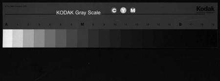 浙江张氏族谱-张氏宗谱 [4卷].pdf电子版缩略图