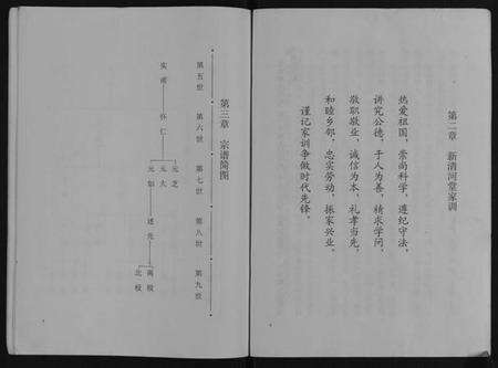 江苏张氏族谱-张氏宗谱[不分卷].pdf电子版预览图5