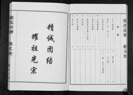 江苏张氏族谱-张氏宗谱[不分卷].pdf电子版预览图2