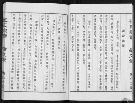 江苏张氏族谱-张氏宗谱[不分卷].pdf电子版预览图5
