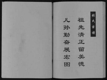 江苏张氏族谱-张氏宗谱[不分卷].pdf电子版预览图1