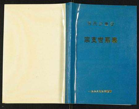 江苏张氏族谱-张氏少斋公宗支世系表.pdf电子版缩略图