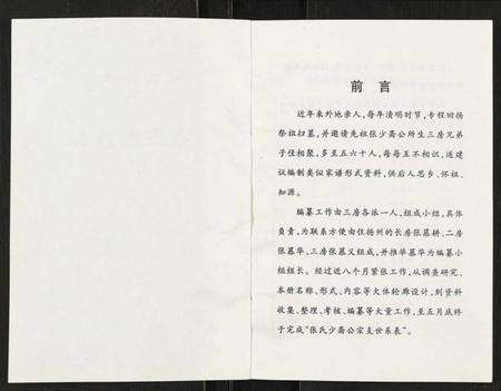 江苏张氏族谱-张氏少斋公宗支世系表.pdf电子版预览图2