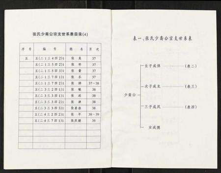 江苏张氏族谱-张氏少斋公宗支世系表.pdf电子版预览图5