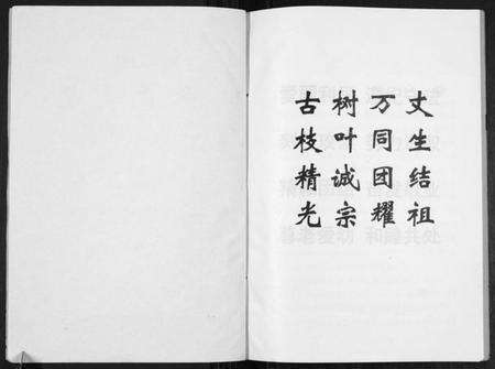 江苏张氏族谱-张氏支谱[不分卷].pdf电子版预览图1