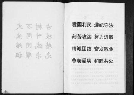 江苏张氏族谱-张氏支谱[不分卷].pdf电子版预览图2