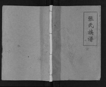 江苏张氏族谱-张氏族谱[不分卷].pdf电子版缩略图