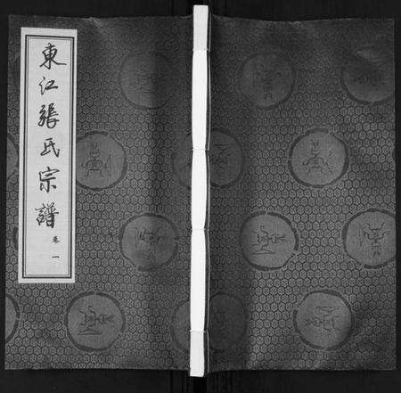 江苏张氏族谱-东江张氏宗谱[10卷].pdf电子版缩略图