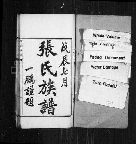江苏张氏族谱-张氏族谱.pdf电子版预览图1