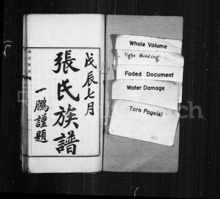 江苏张氏族谱-张氏族谱.pdf电子版预览图2