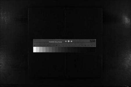 浙江张氏族谱-张氏宗谱 [不分卷].pdf电子版缩略图