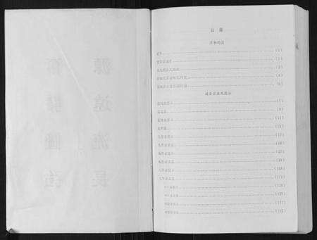 浙江张氏族谱-张氏族谱.pdf电子版预览图2